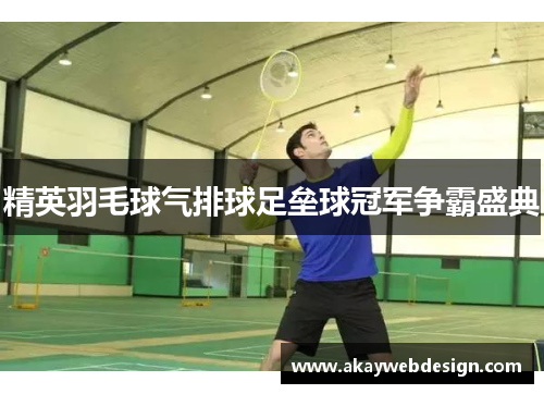 精英羽毛球气排球足垒球冠军争霸盛典